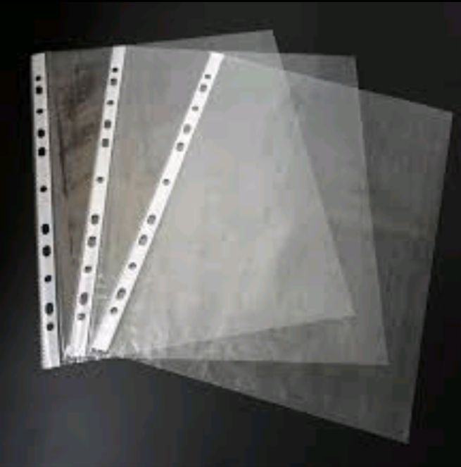 POCKET PUNCHED FILE