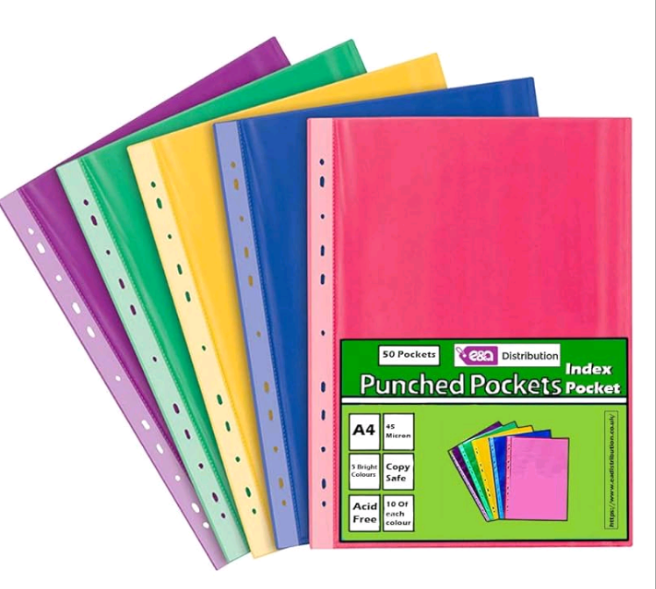 POCKET PUNCHED FILE