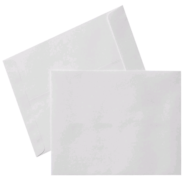 CATTLE ASE FULLSCAPE BROWN ENVELOPE - Qpm Stationery